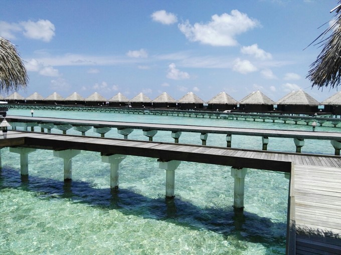 泰姬珍品岛 Taj Exotica Resort
